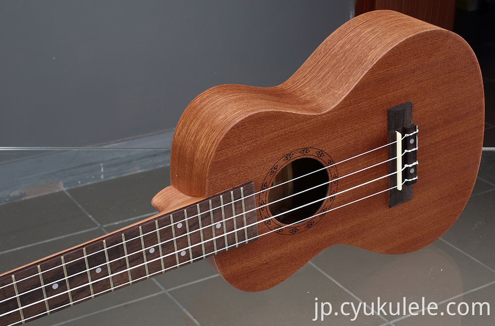 ukulele21 ukulele21
